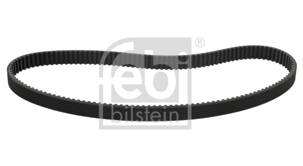 Timing Belt